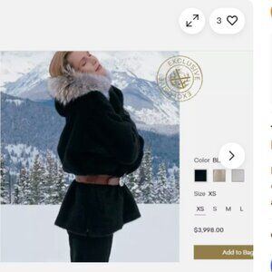 Incredible Gorsuch Exclusive Tenth Mountain Alpaca Parka $3850 S